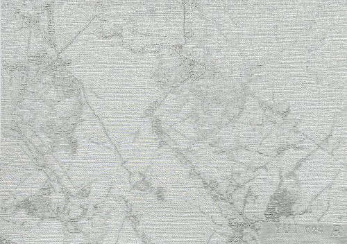 NCP016